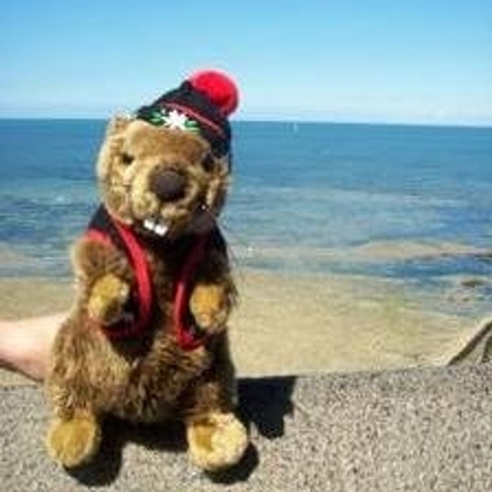 latitemarmotte