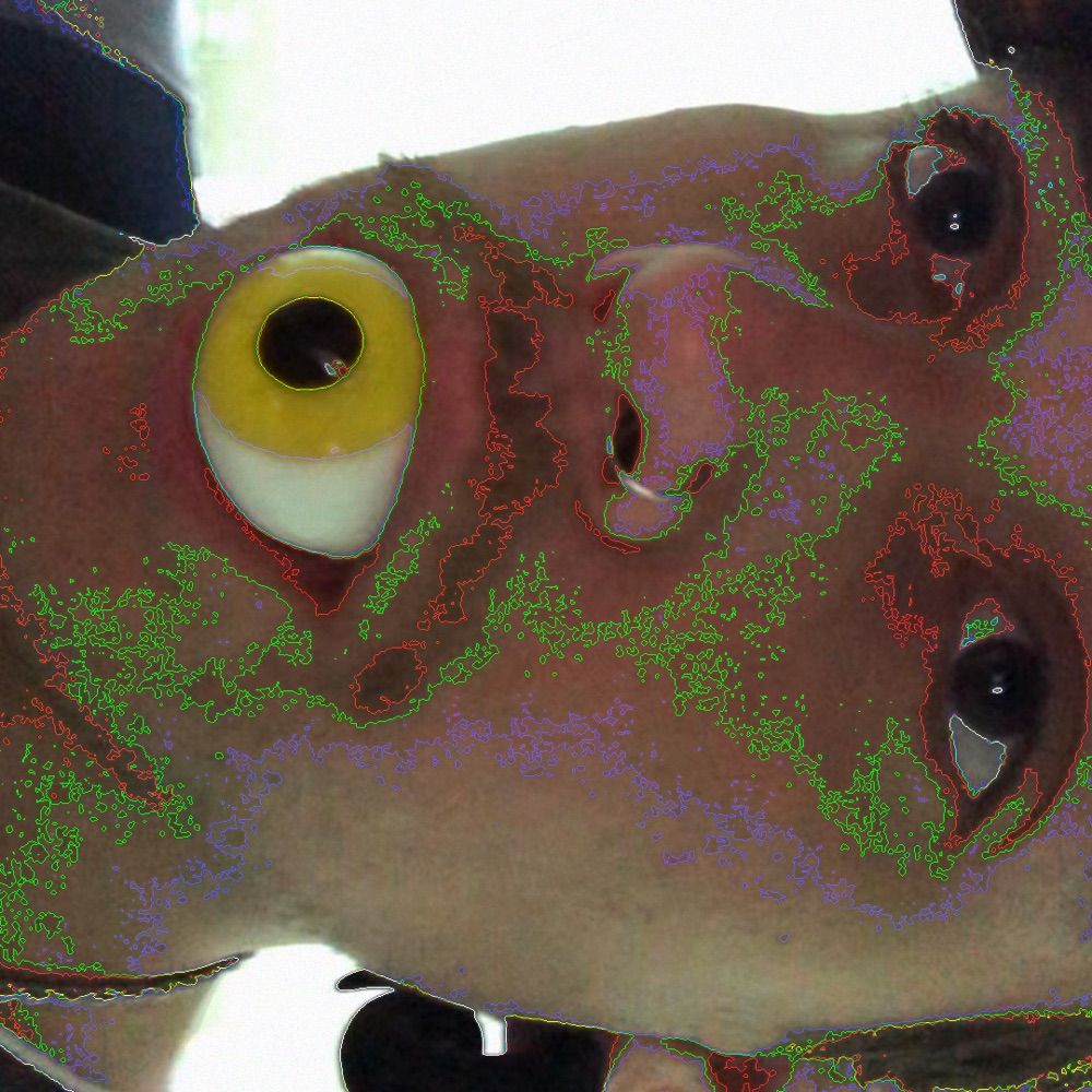 gabriel