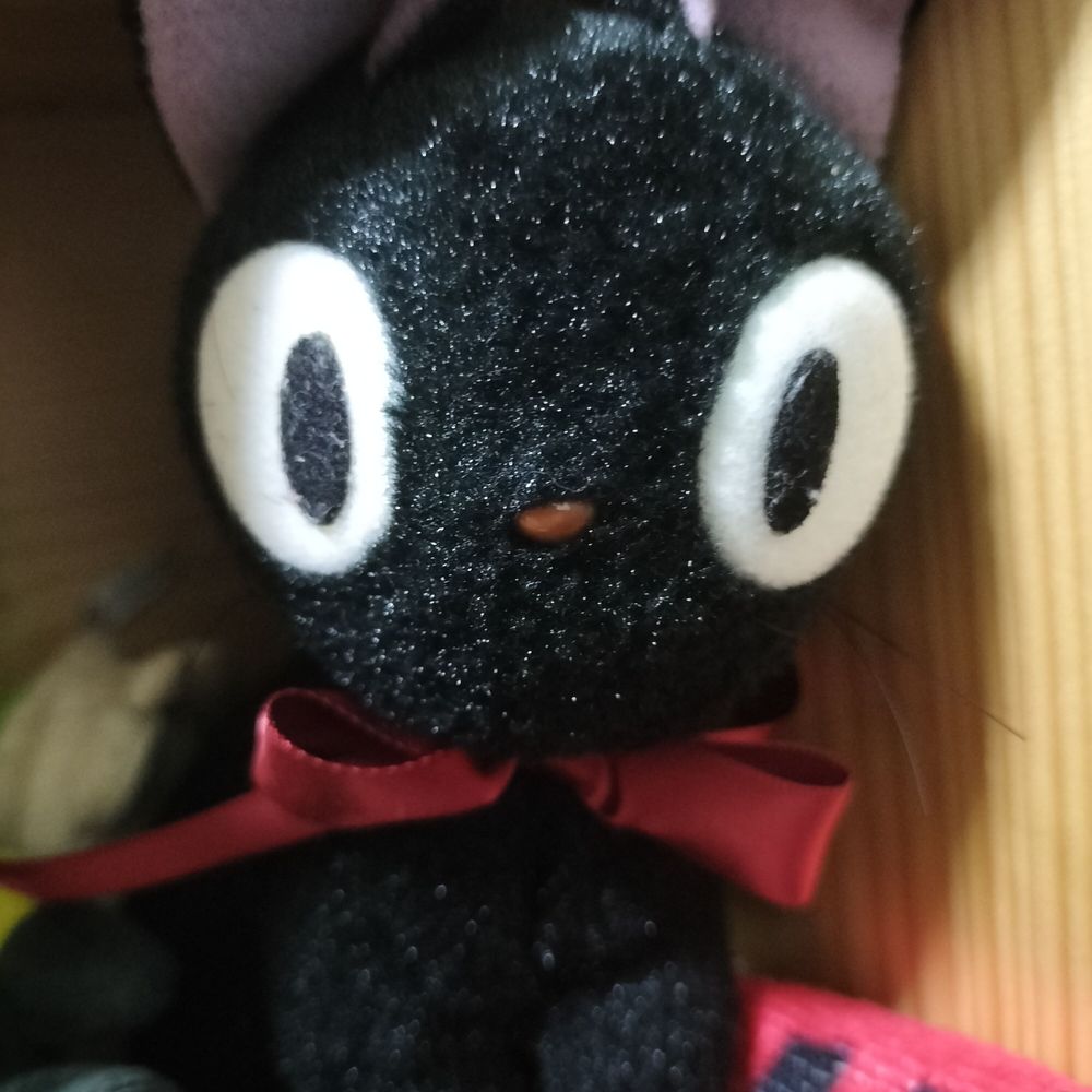 ぼんふ