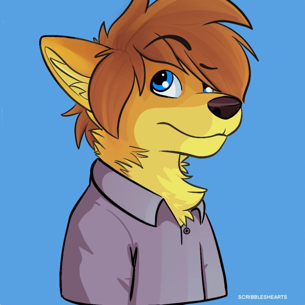Atlas Coyote