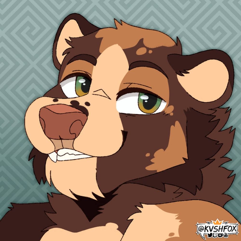 A Bear