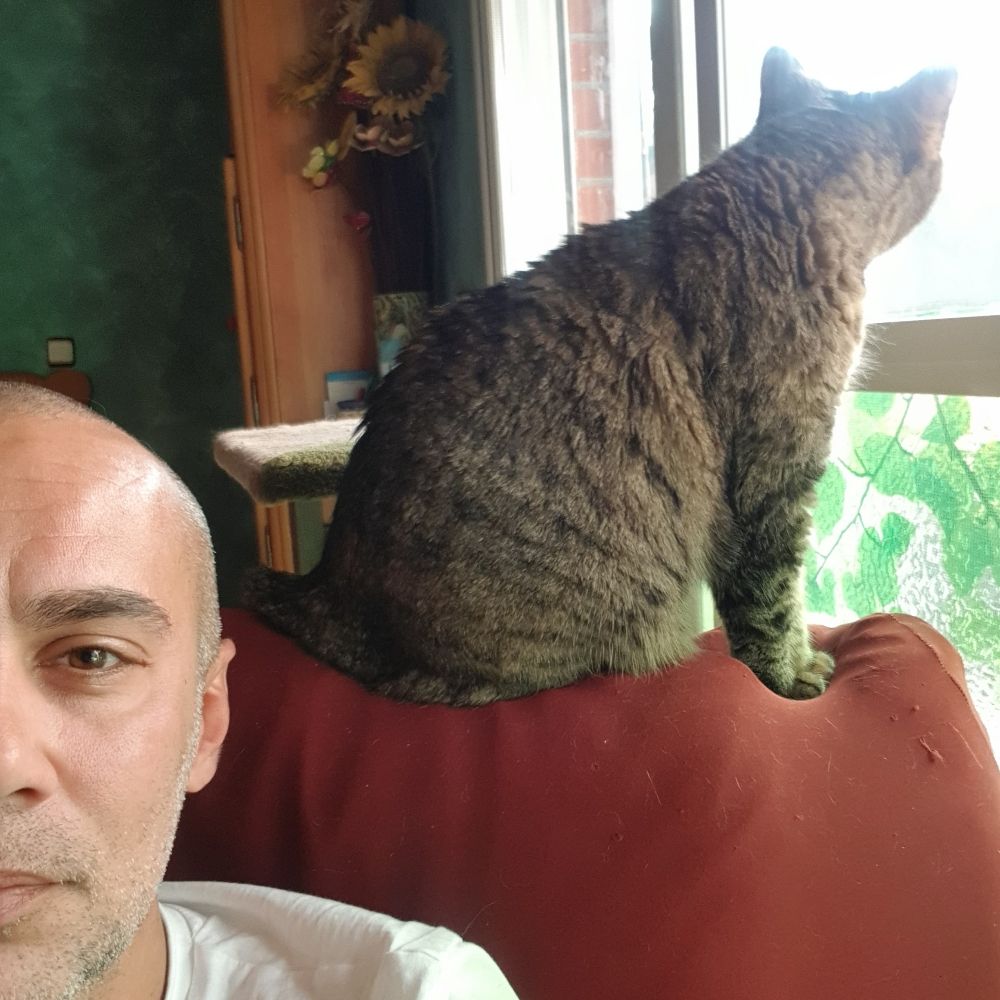 User avatar
