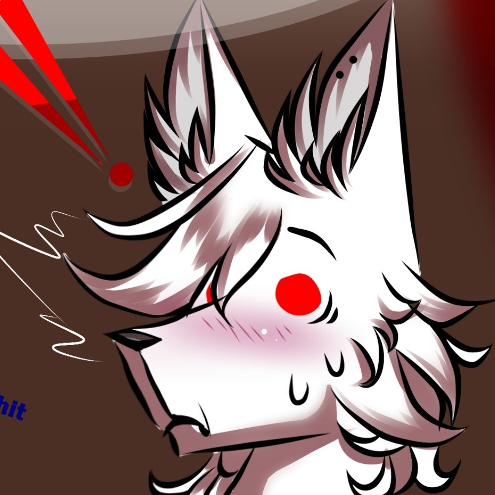🔞NSFW-ToastKoi🔞