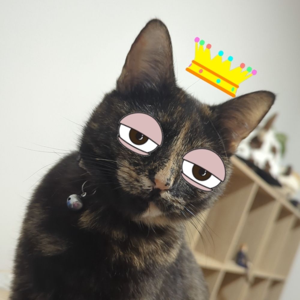 Nay