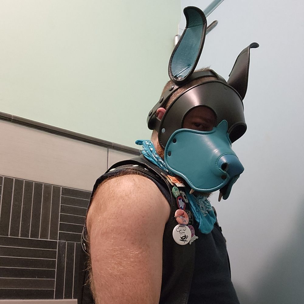 Feral Farm Dog - Riot