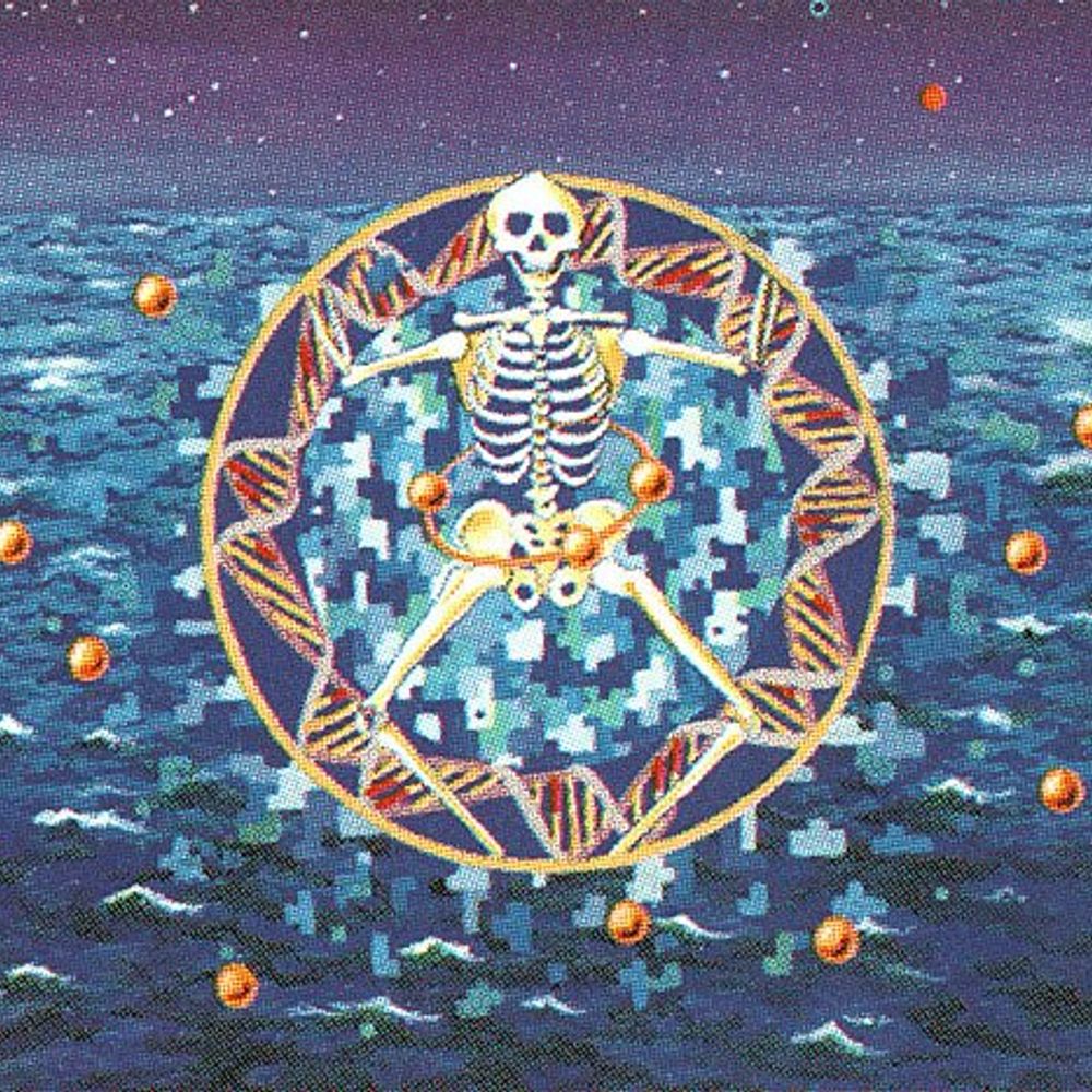 溺死乐 (Skullcrusher)