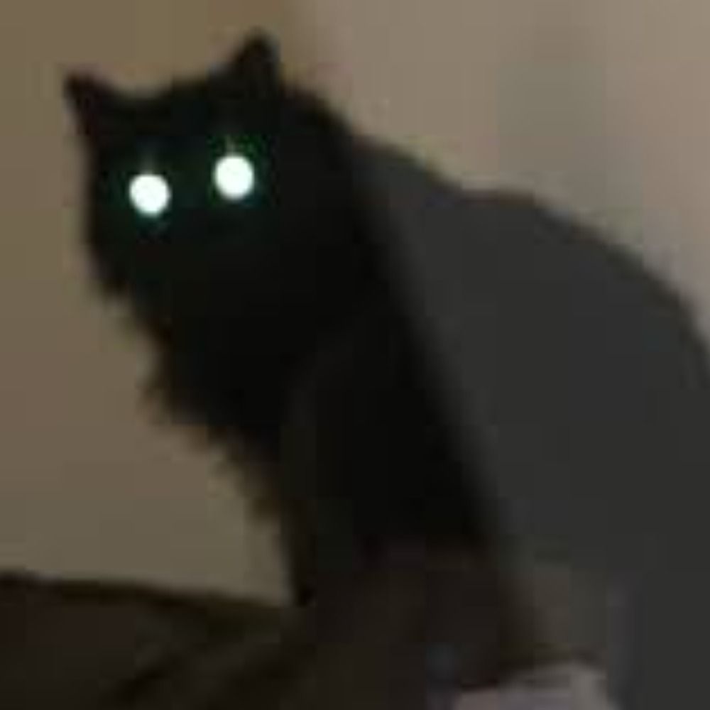 cadelle