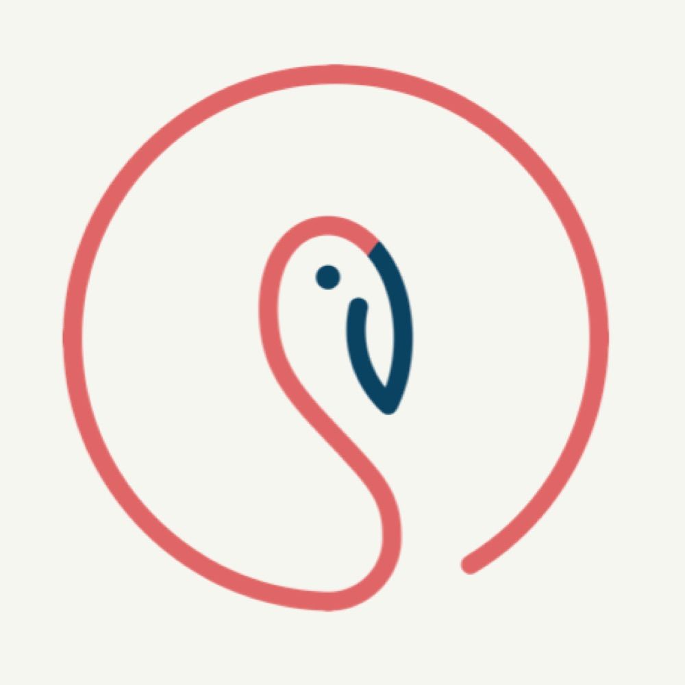 Centered Flamingo - Emily Bidlingmeyer