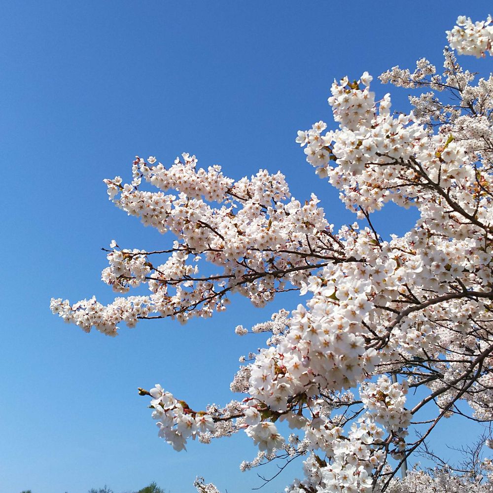 たろ