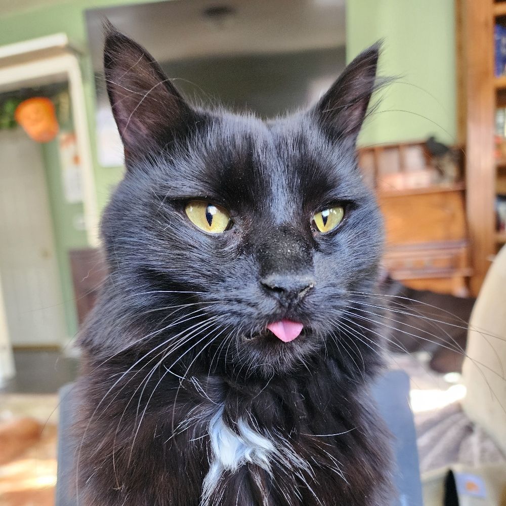 FieryGremlin