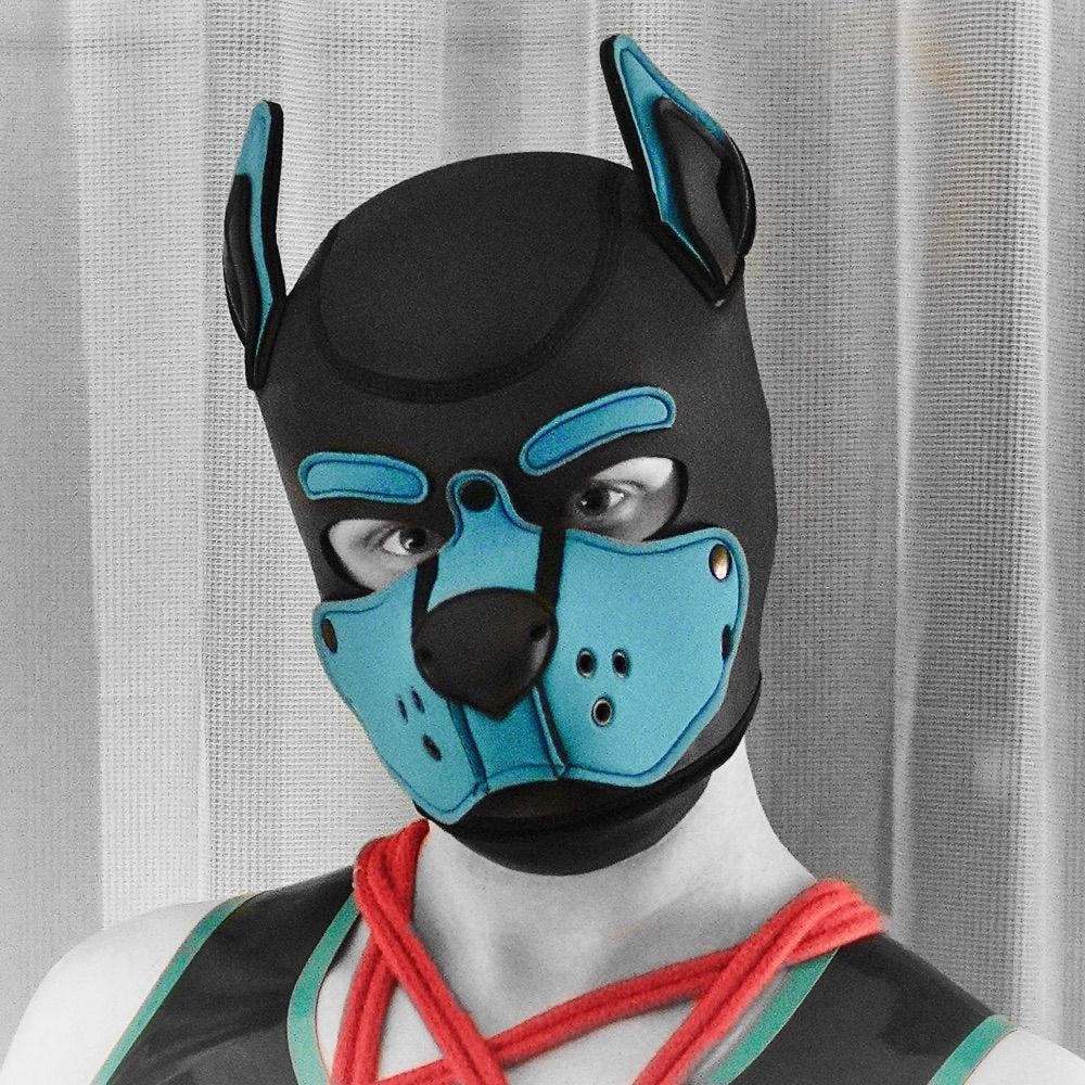 Pup Arri  ➔  Doggy Weekend