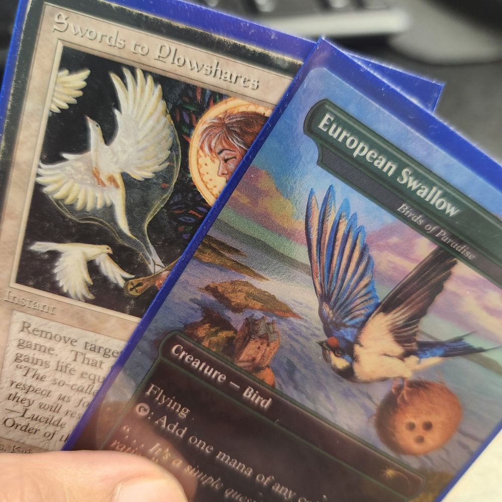 MTGTyrno - Disciple of Jetmir