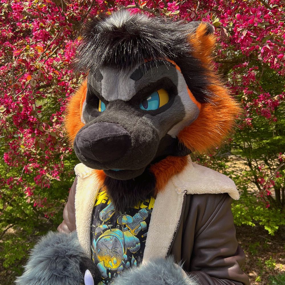 ☆ Foxboy ☆