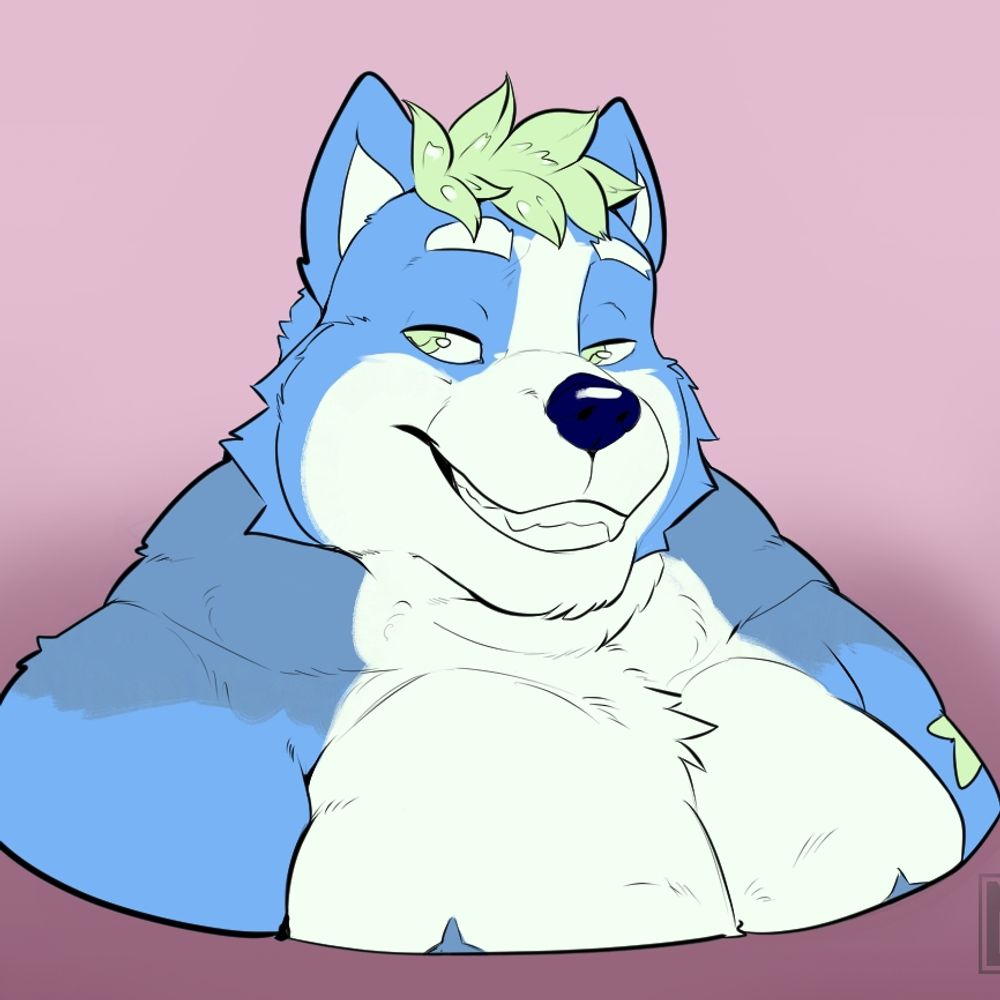 Furquiz shiborginu 🐶