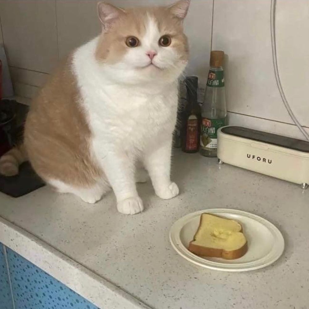 ぱ