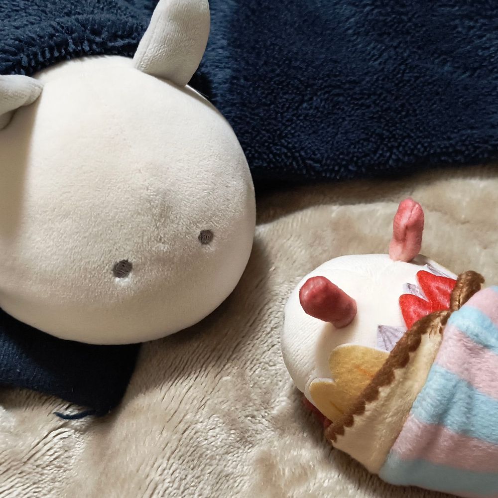 もちうみうしの別荘