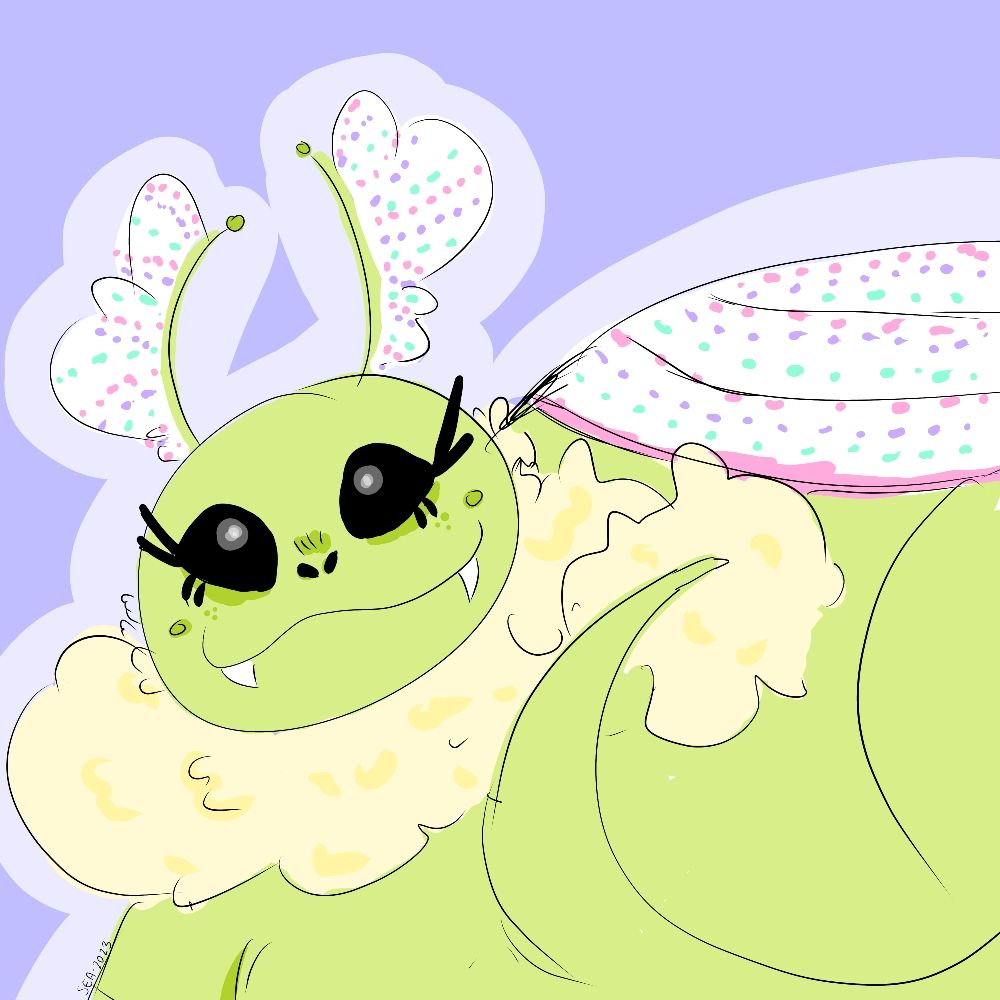 Moth!