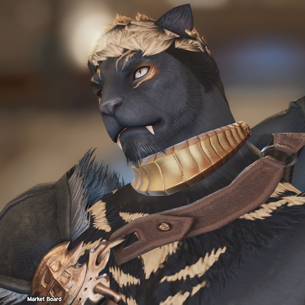 Ito🐱‍👤