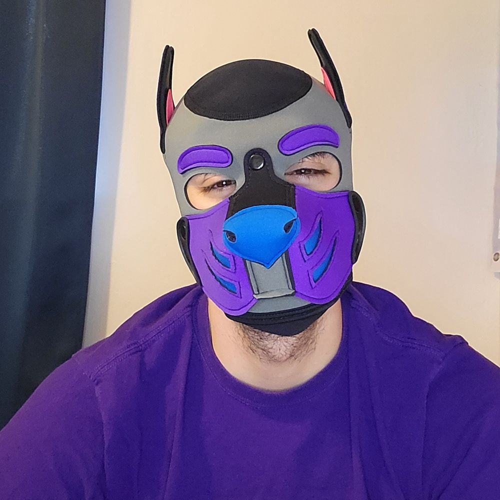 Pup Shaed