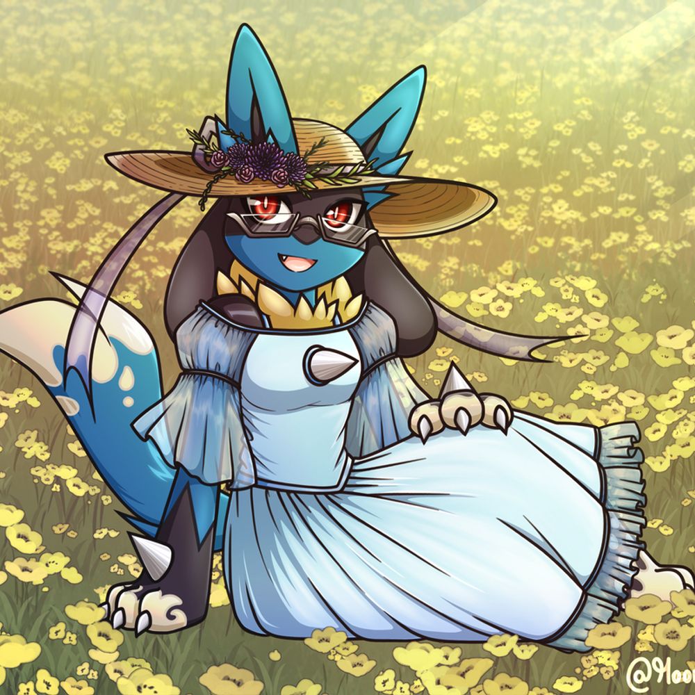 Rumply Softpaws