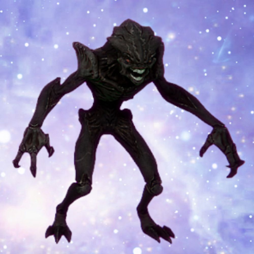 Borticus