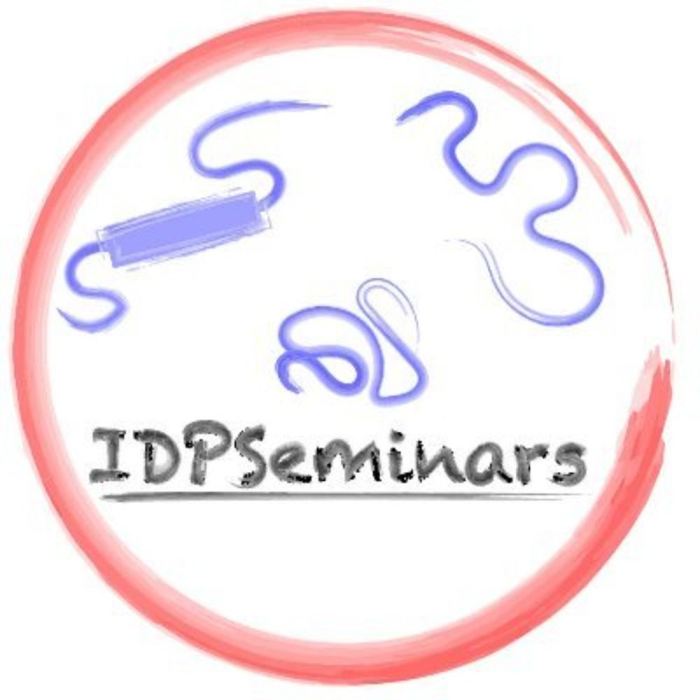 IDPSeminars