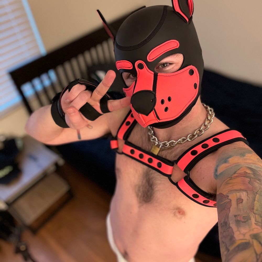 Pup Milo