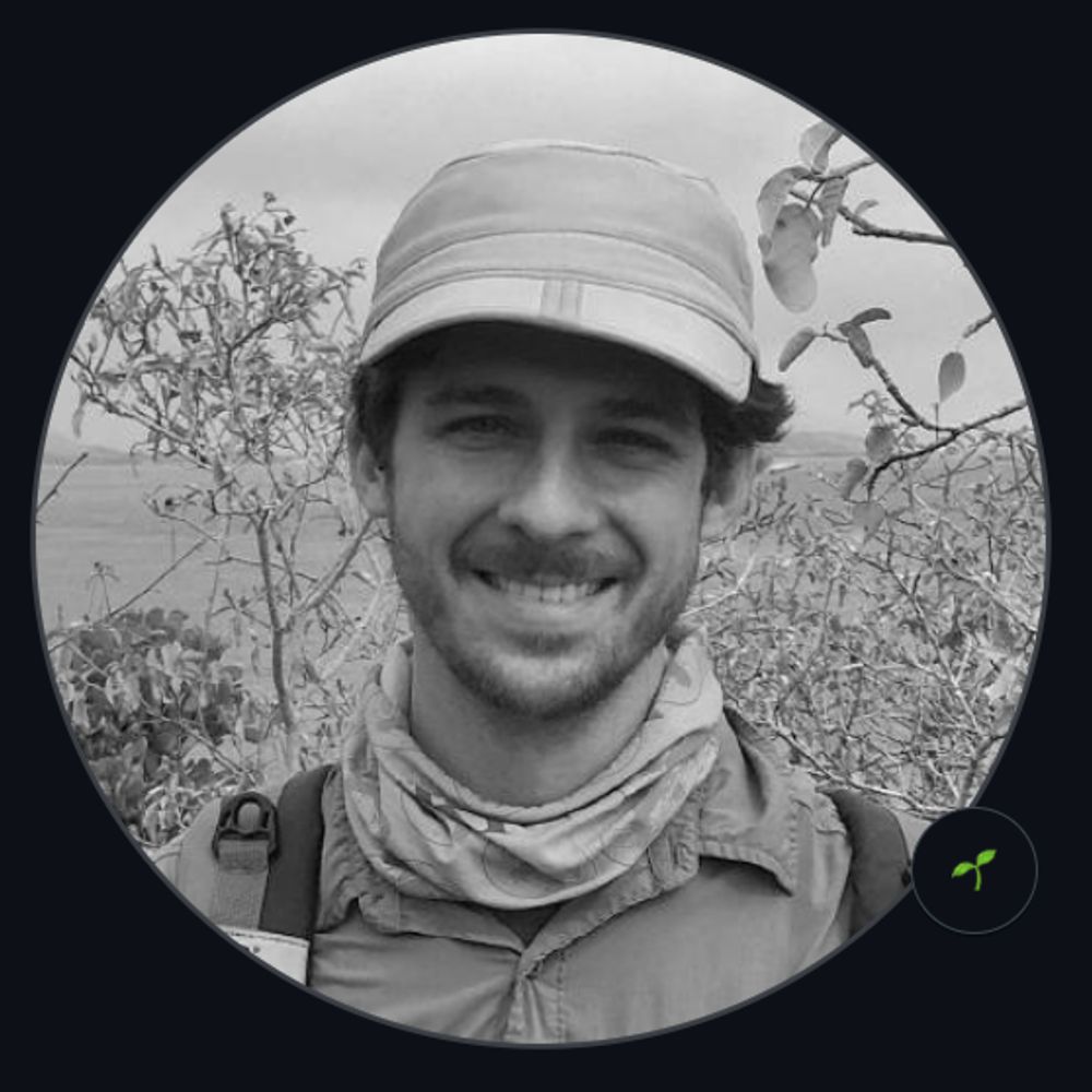 Luka Negoita