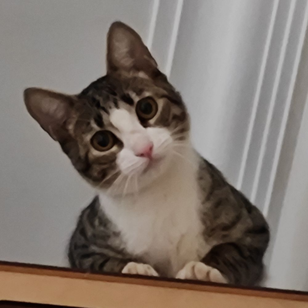 Lucas