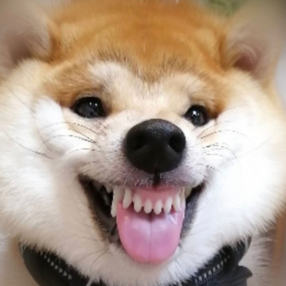 あかのしんもこのすけ