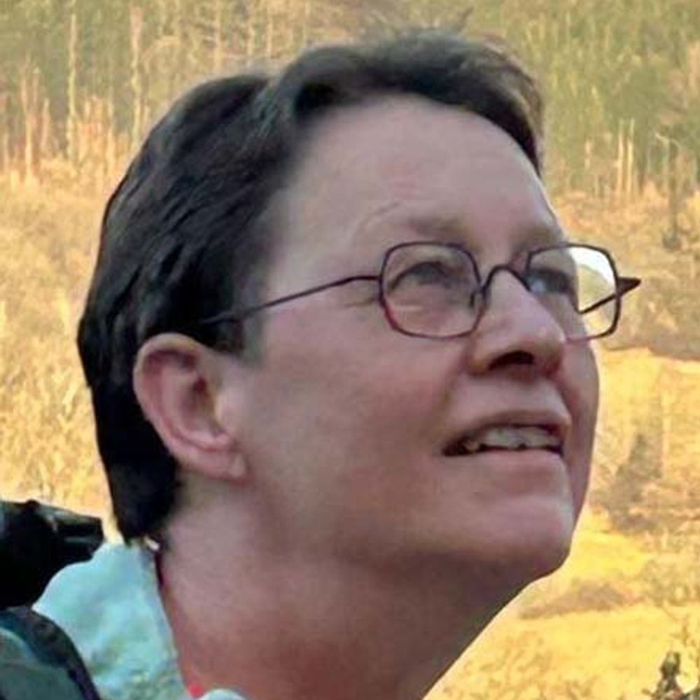 Tine Baelmans