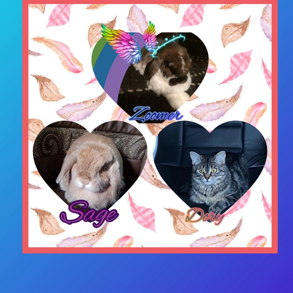 Sage and Dory plus angel zoomer memories