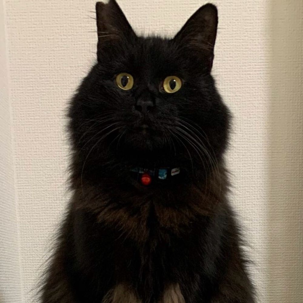 らみぃP