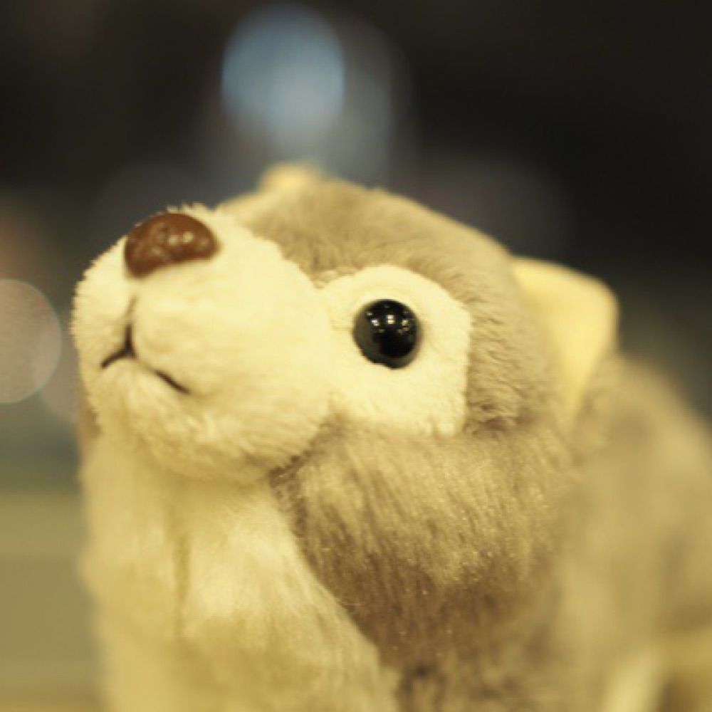 うめたま