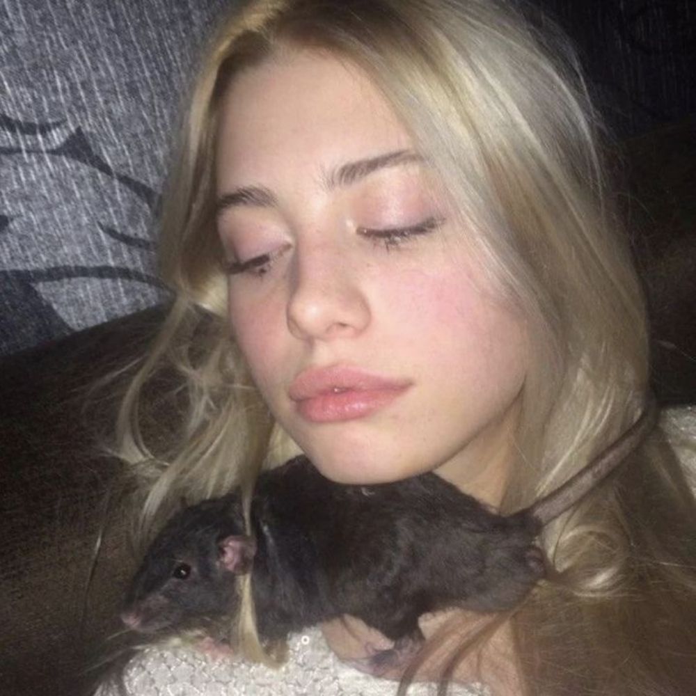 bibi