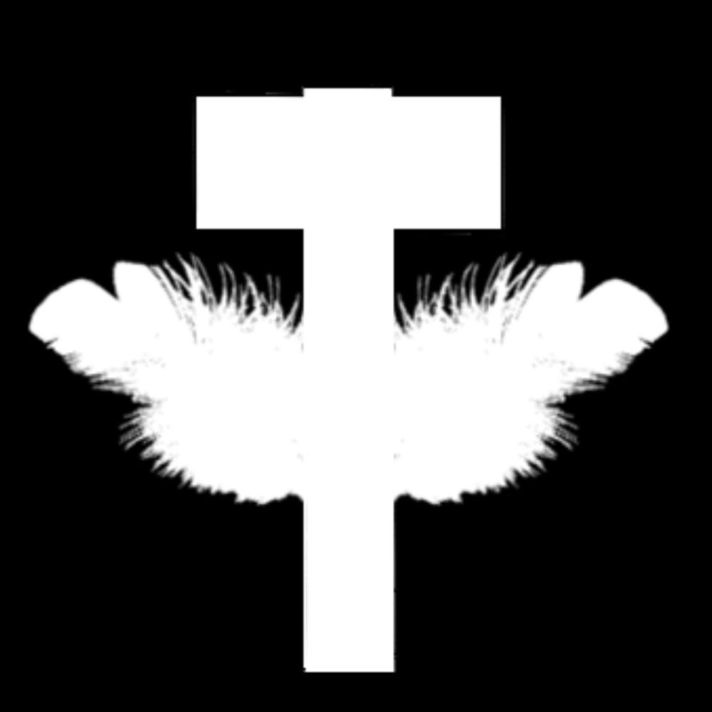 Ikarus/Peter