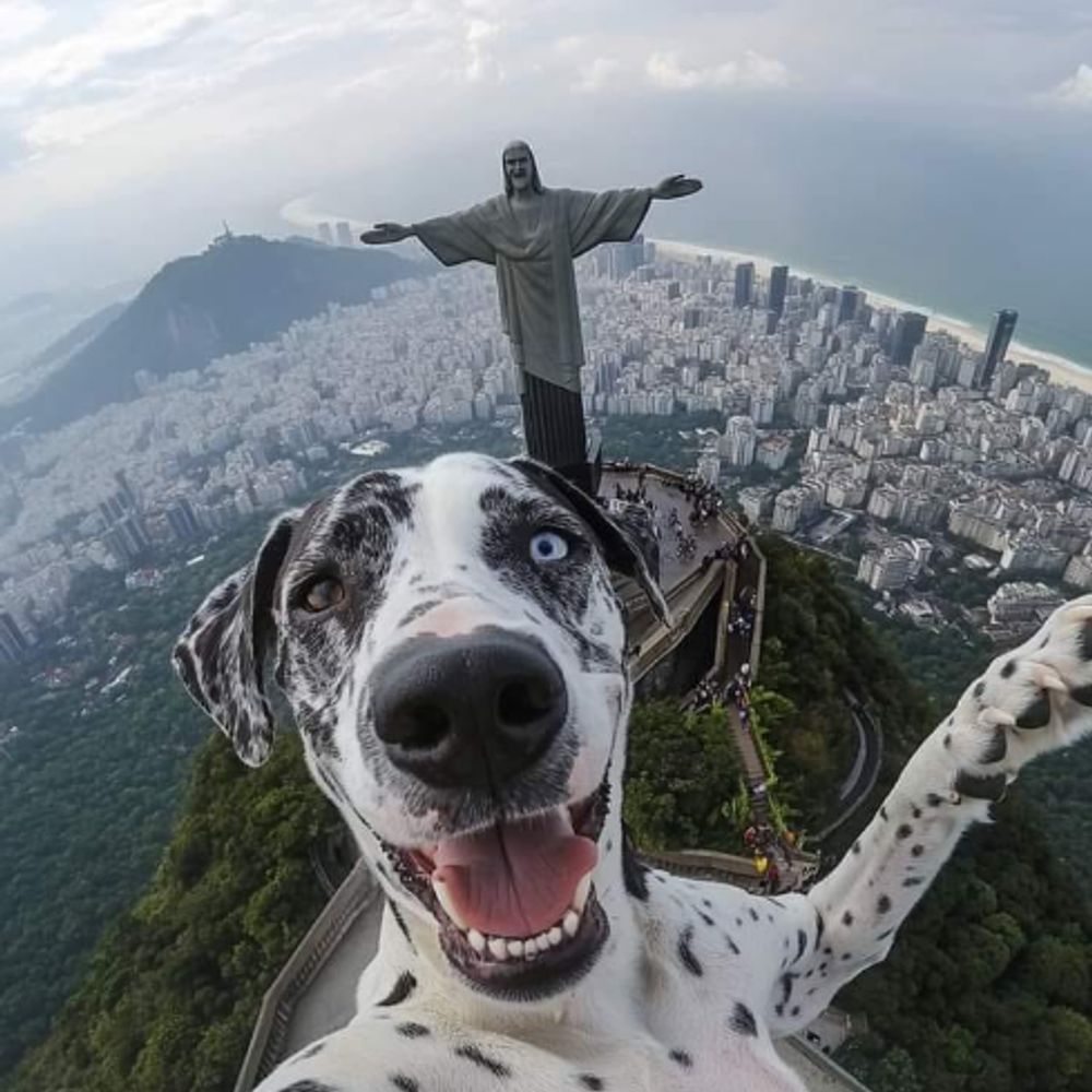 from Rio