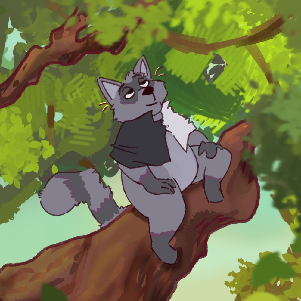 Raccmon->FWA