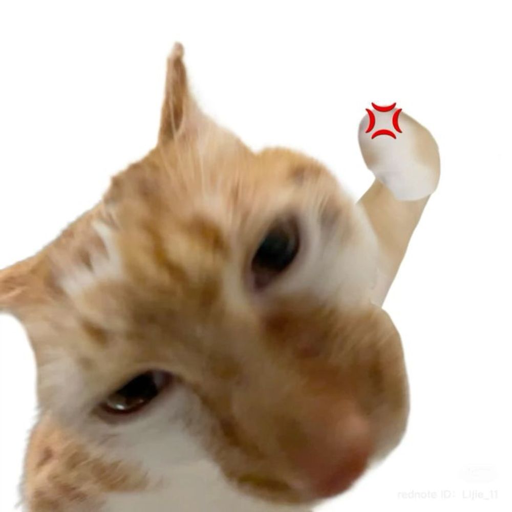 Chezz bruger