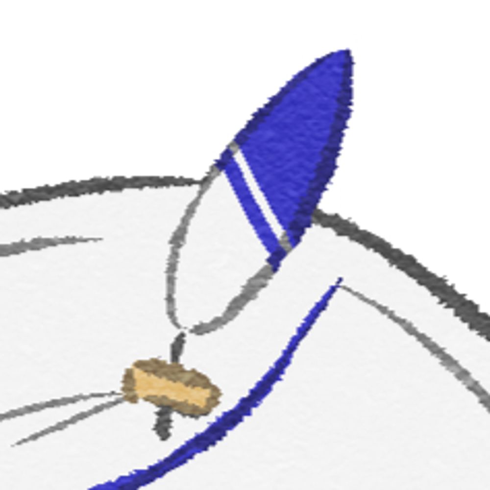 aruwo