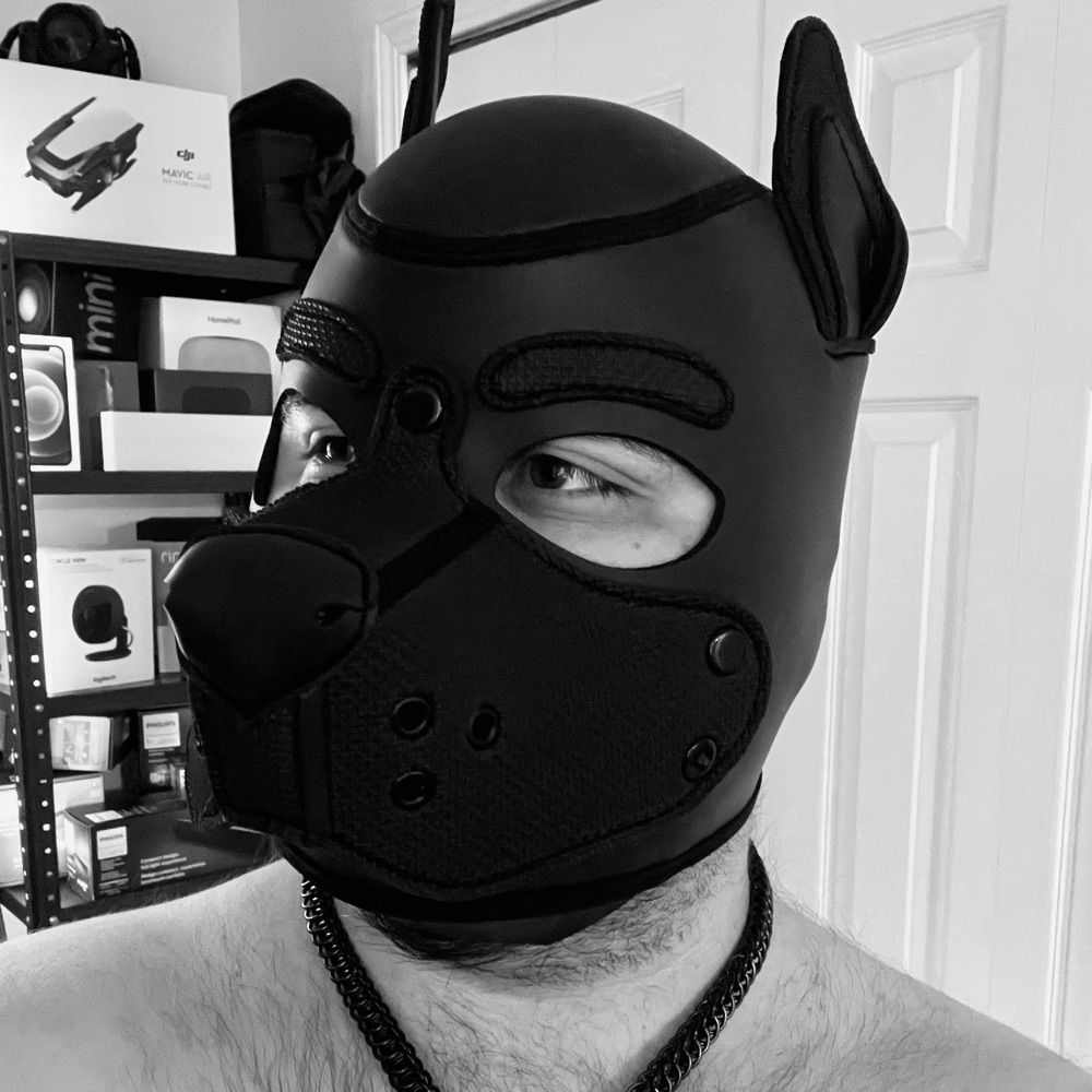 Pup bJax