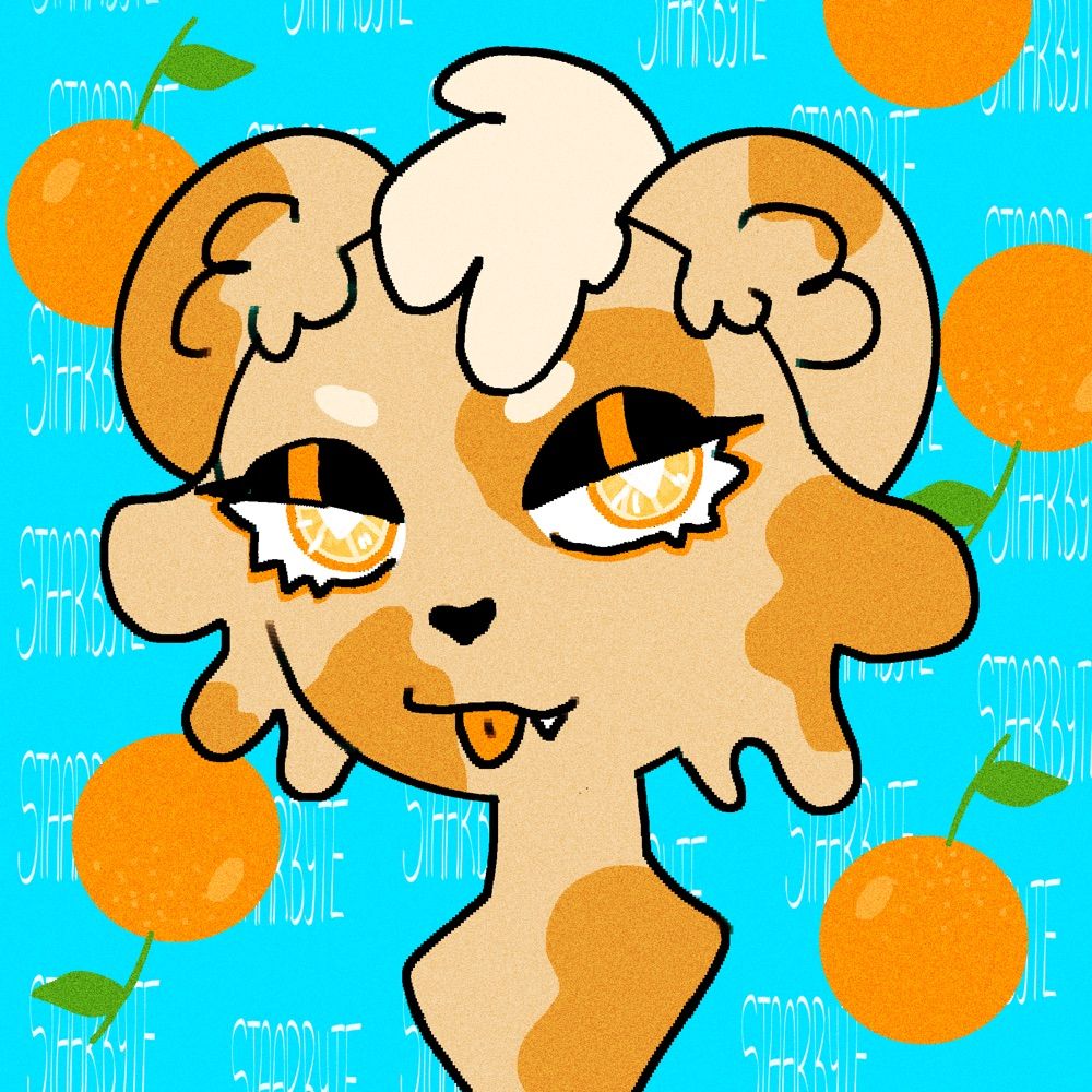 🍊 Sage 🍊