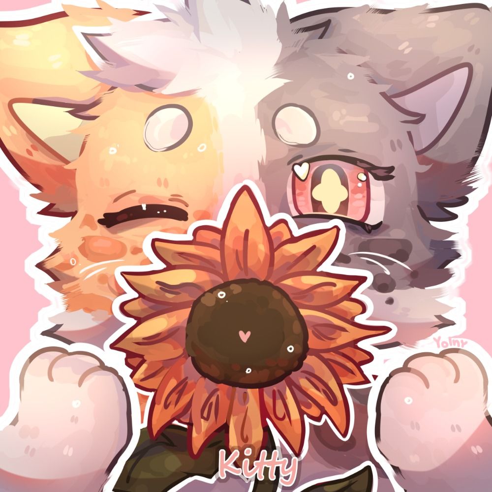 KittyKissed