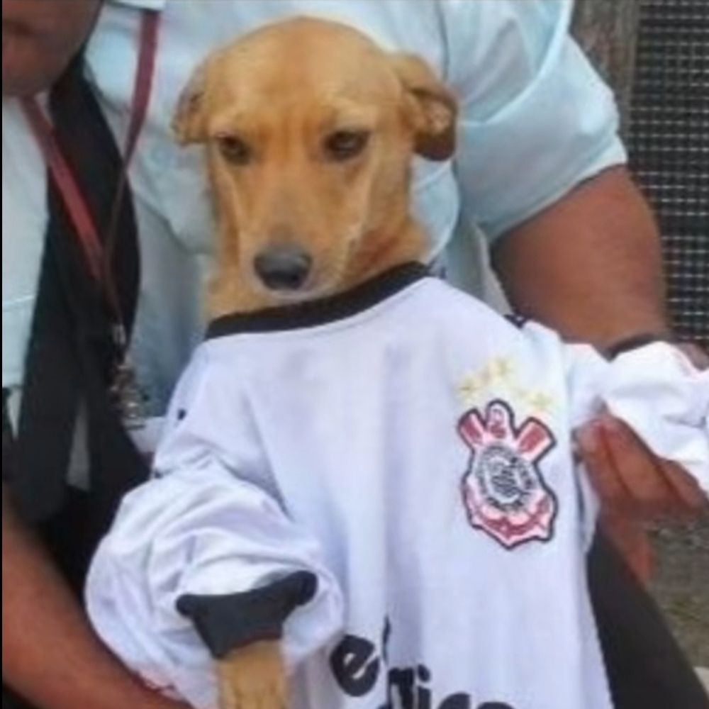 ◇Pedro◇