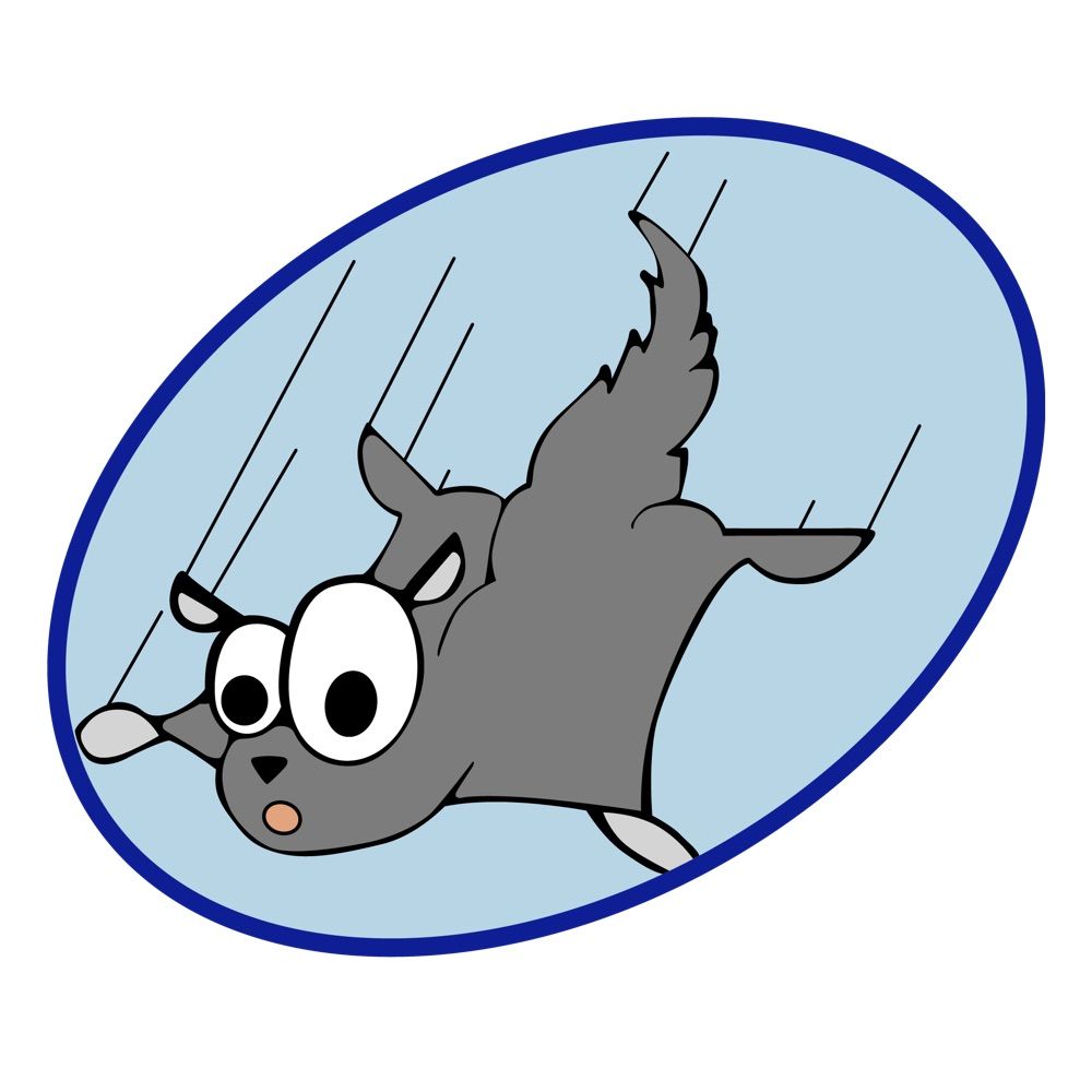 Skwrl