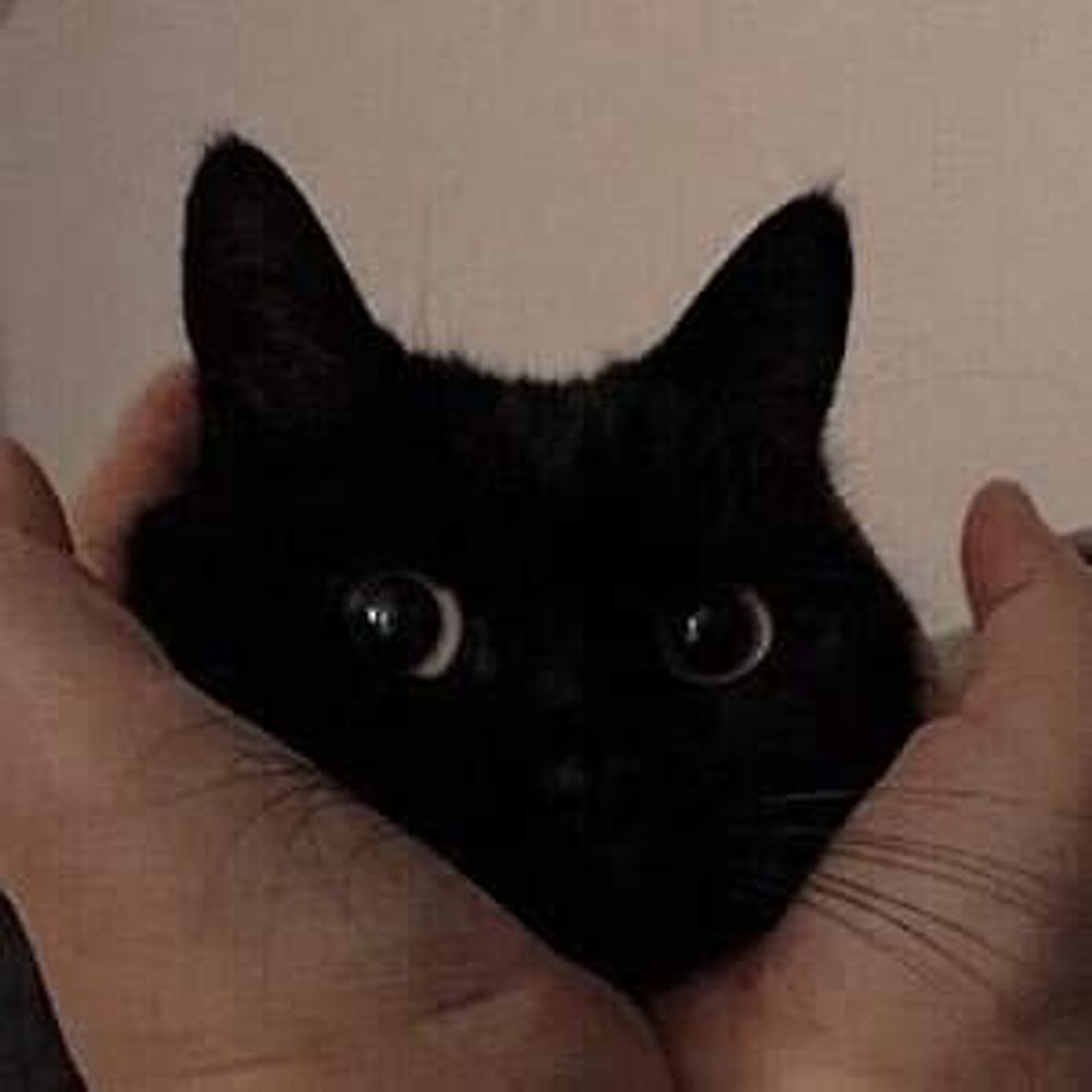MM(´ . .̫ . `)