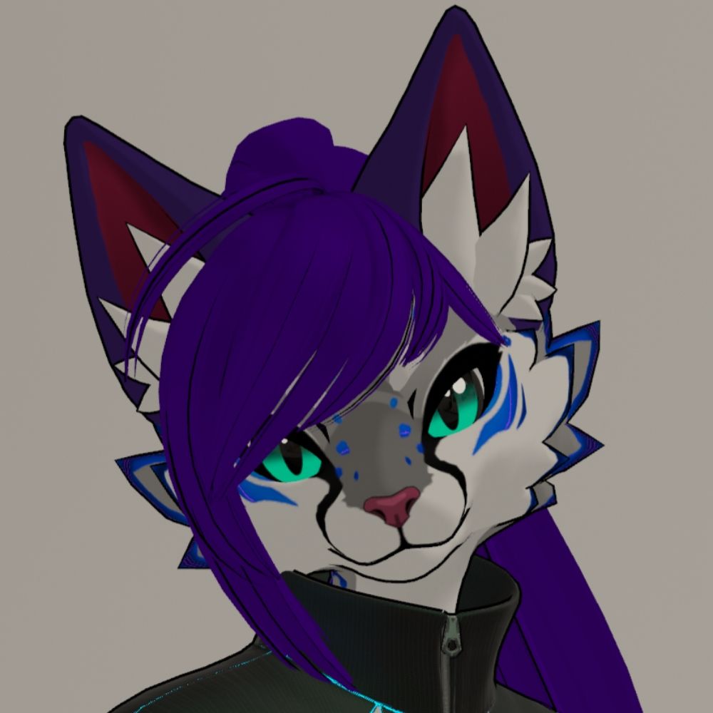 Meia