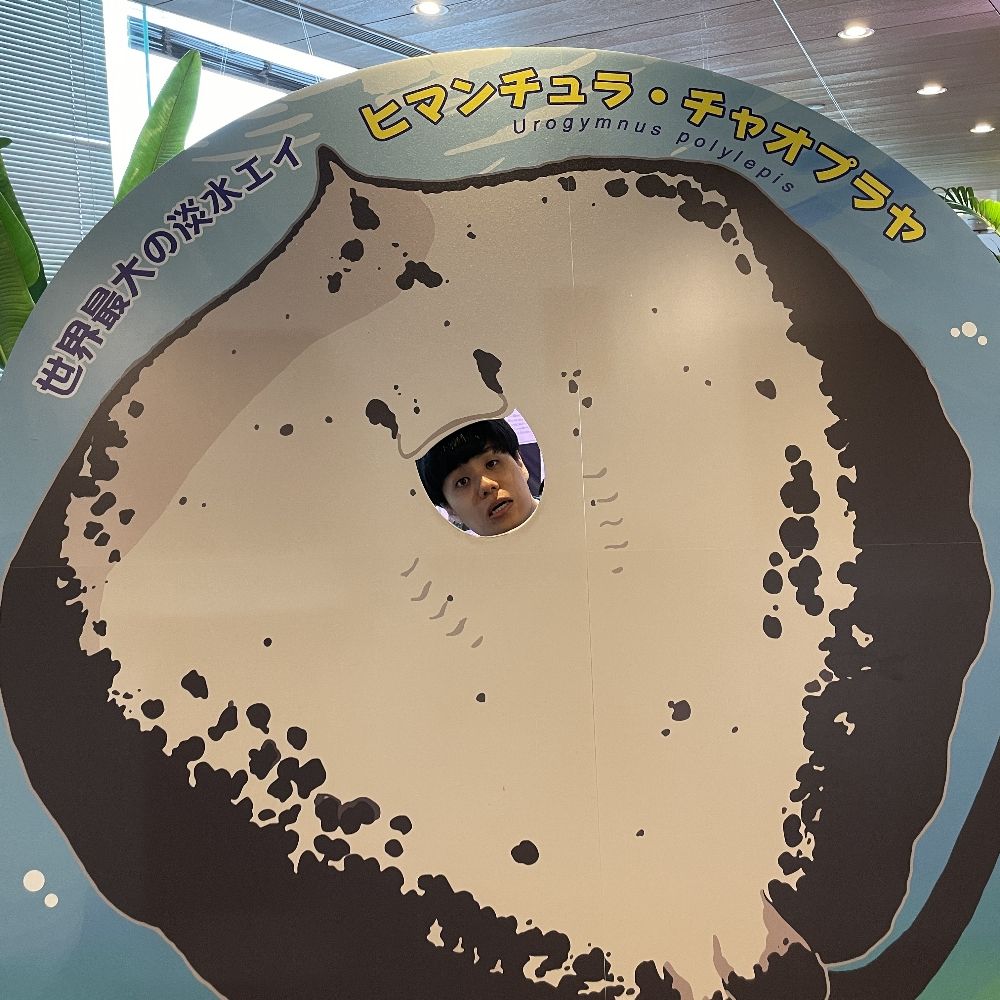 山下翔