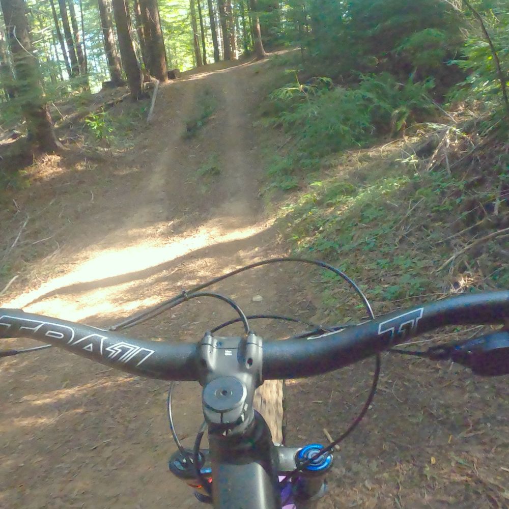 Biking with Akiva