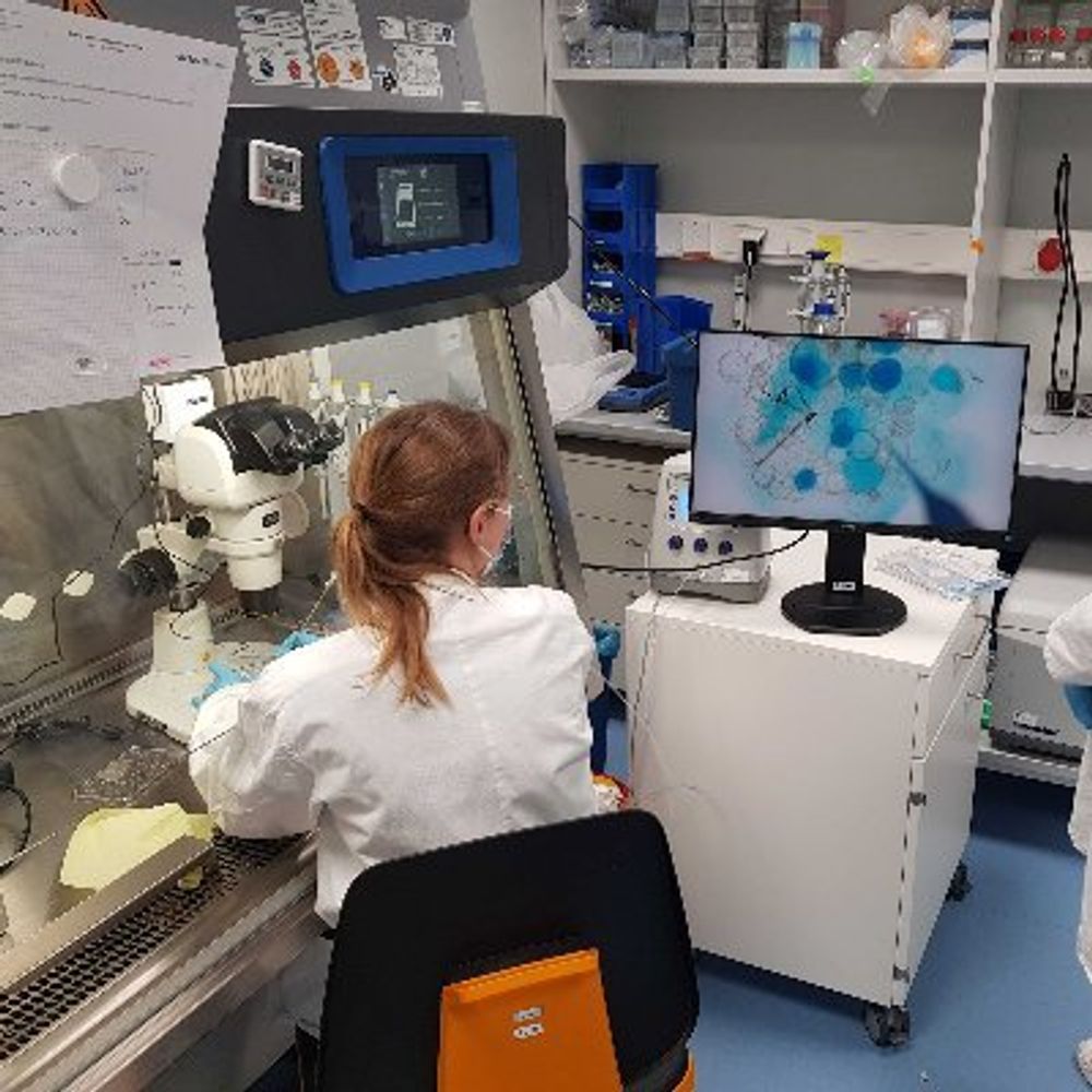 DKFZ Epithelium Microbiome Interaction Lab
